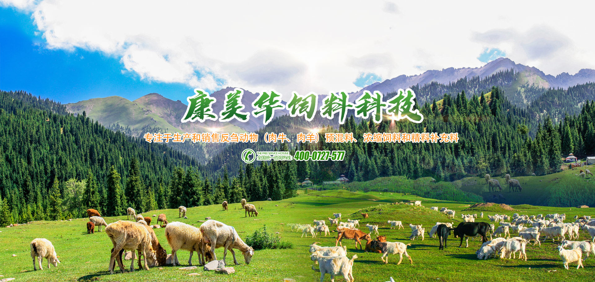 諸城市康美華飼料科技有限公司